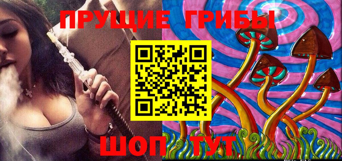 Галлюциногенные грибы Psilocybe  Вход с VPN  Галлюциногенные грибы мухоморы  Вязьма 